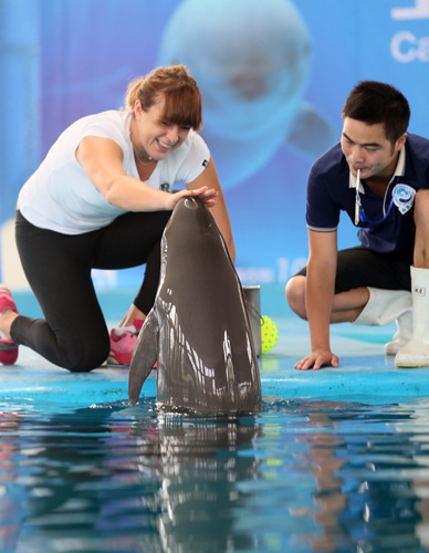 中汲取力量 中汲取力量